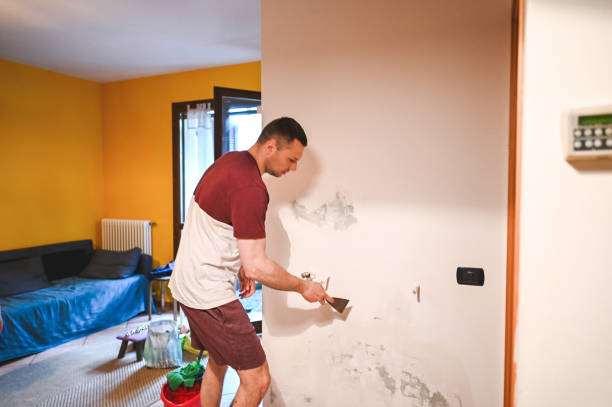 Best DIY Mold Remediation Support Services in Arvin, CA